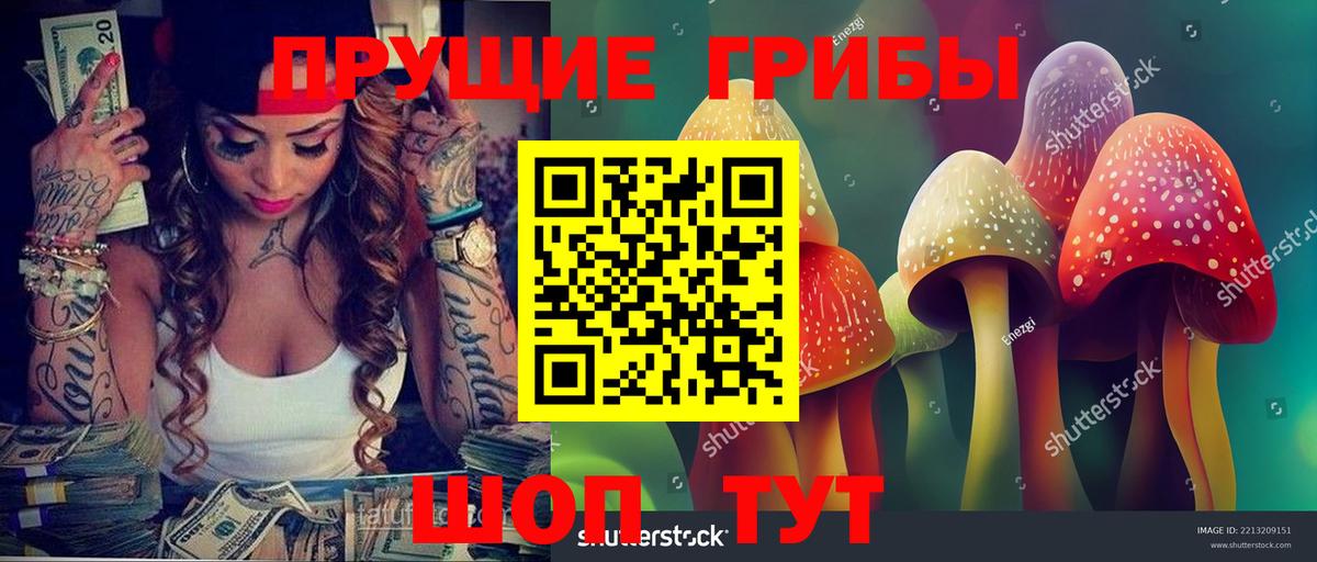 Псилоцибиновые грибы прущие грибы Железноводск