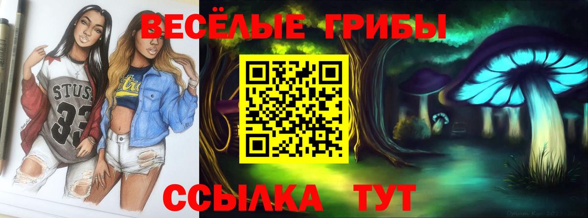 Галлюциногенные грибы Psilocybe  Псилоцибиновые грибы GOLDEN TEACHER  Железноводск  Вход с VPN 